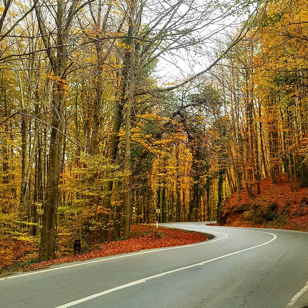 Hedef olmadan sonuçtan bahsedilebilir mi?